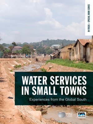 cover image of Water Services in Small Towns